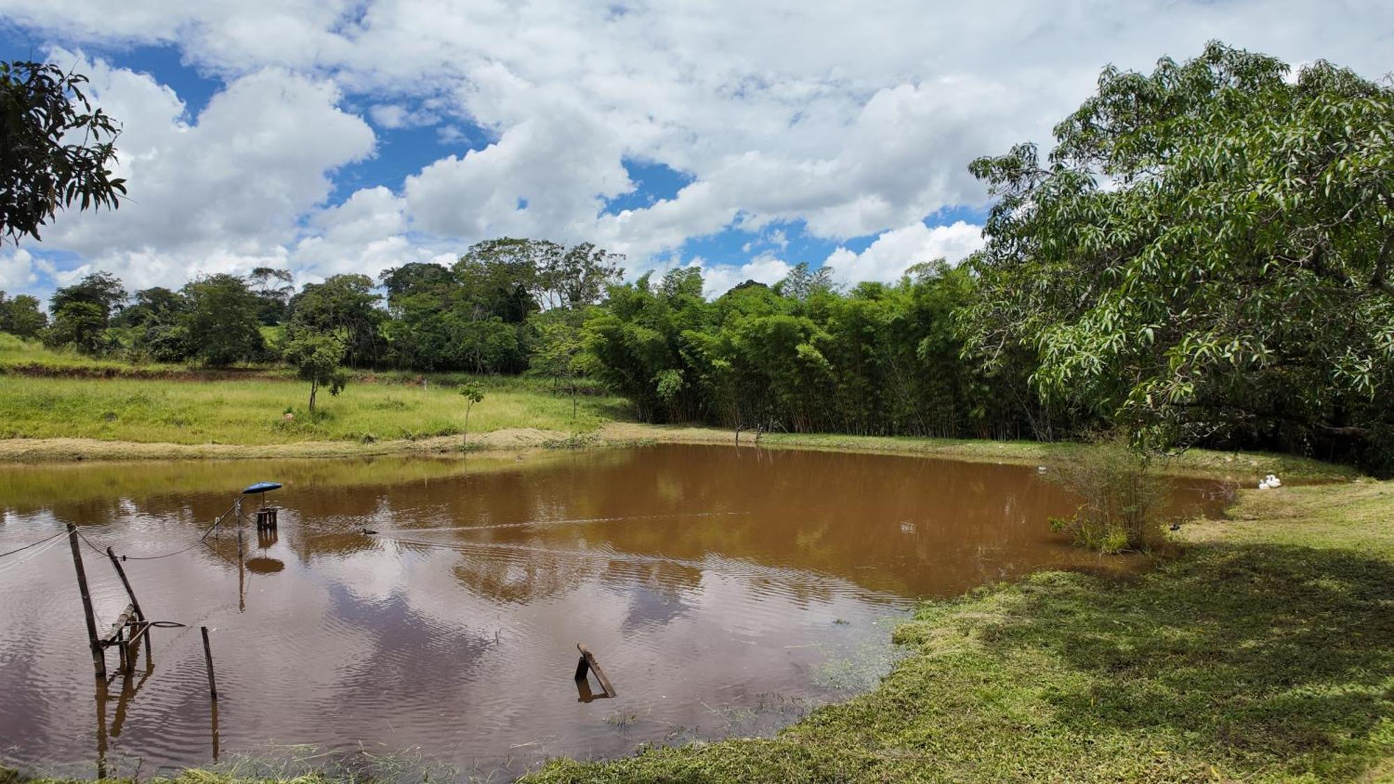 Águas Vivas Hotel Fazenda Pirenópolis Buitenkant foto